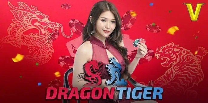 11xplay dragon tiger bet