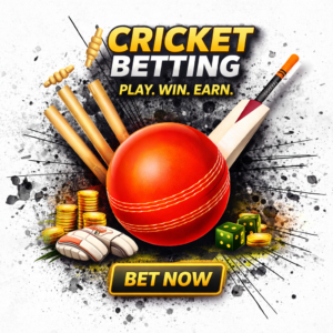 11xplay cricket betting